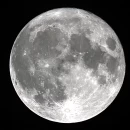 20260531 233700 03 bluemoon crop