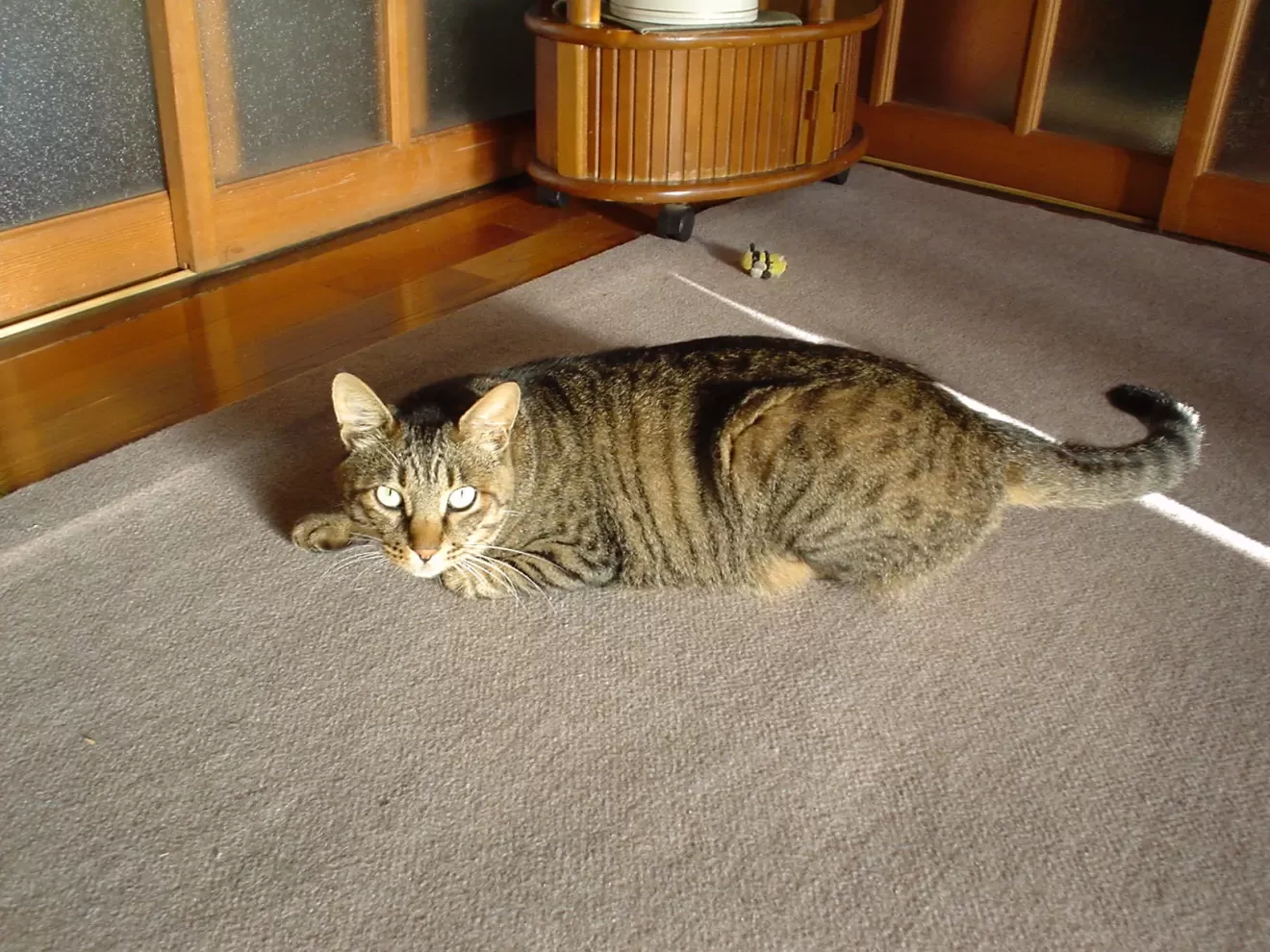 20060816