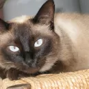 20080814
