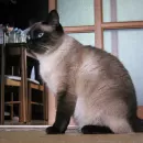 20090814