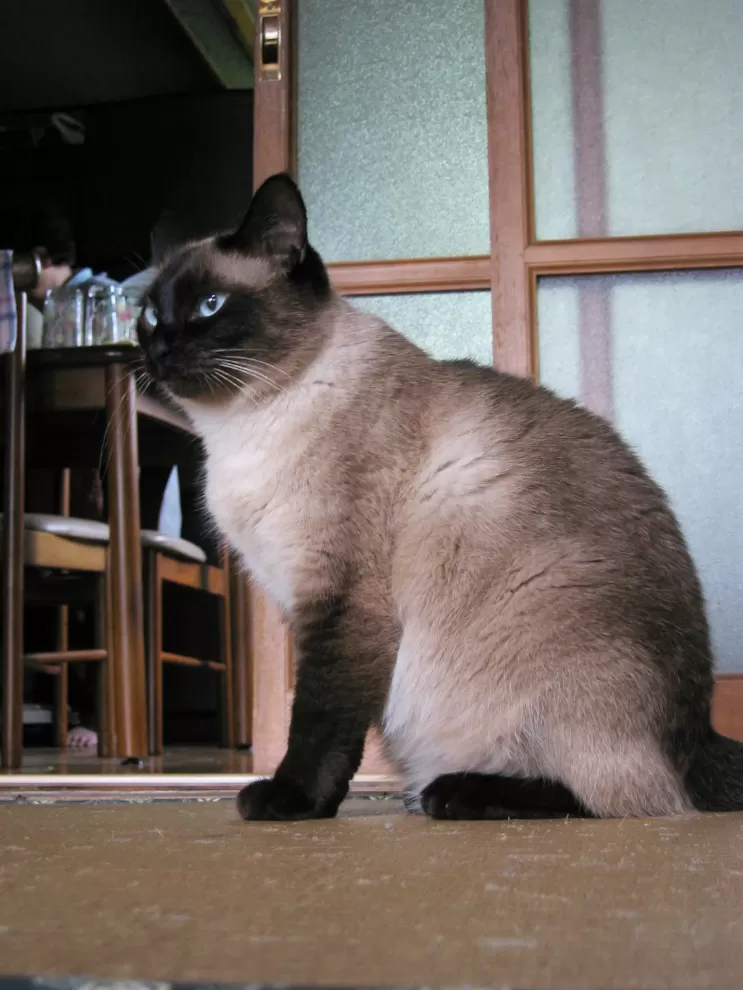 20090814