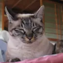 20090815